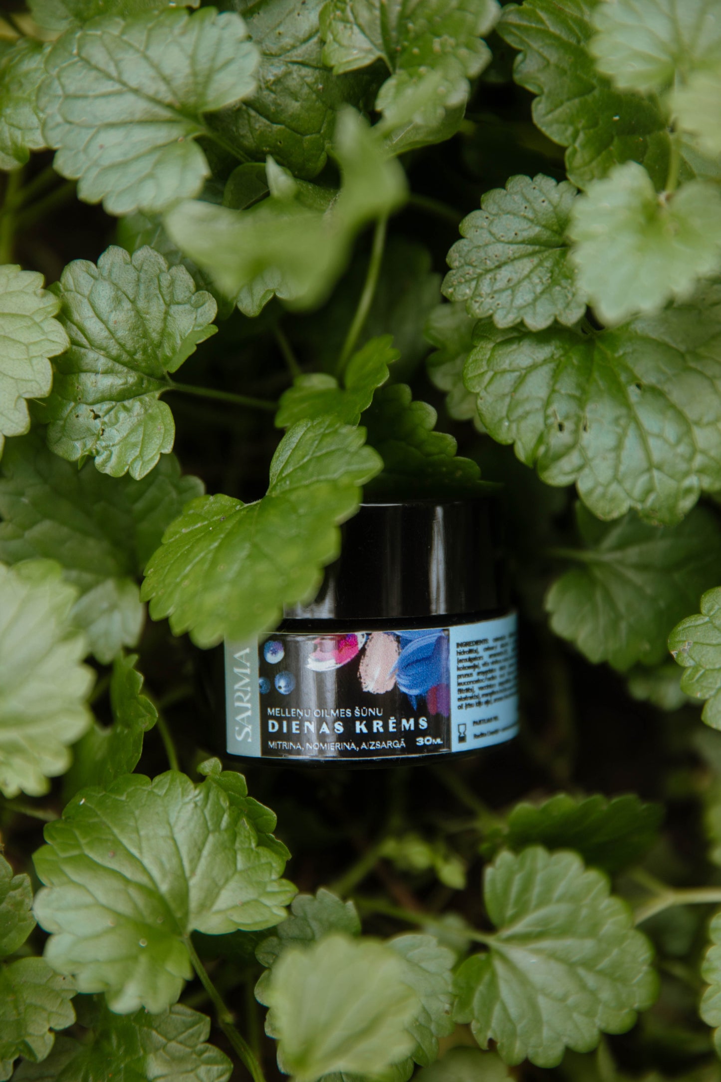 Blueberry Stem Cell Day Cream 30ml